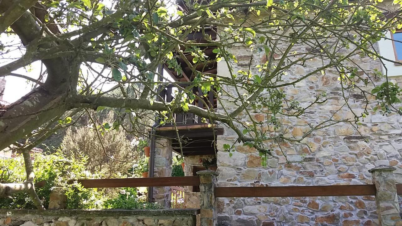 San Juan de PineraLa Casina De Abo别墅 外观 照片